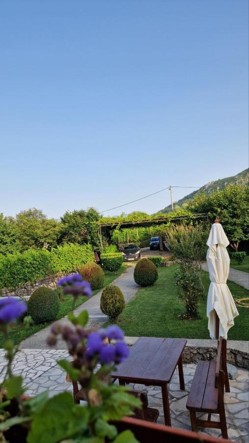 B&B Domacinstvo Raicevic Вирпазар Экстерьер фото